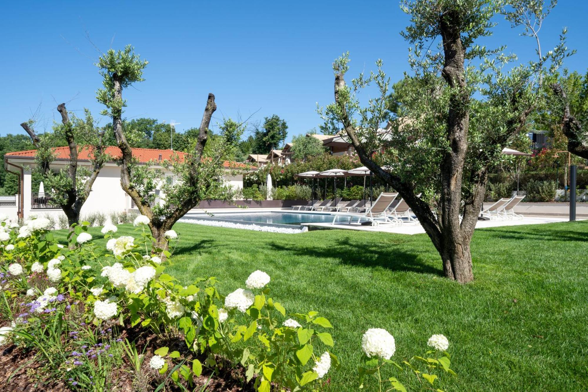 Villa Silvia Apartments San Felice del Benaco Extérieur photo
